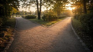 朝の公園の分かれ道。最初の一歩の判断のイメージ